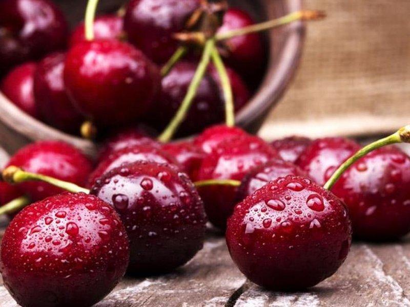Вишня купить саженцы из питомника в Красноярске
